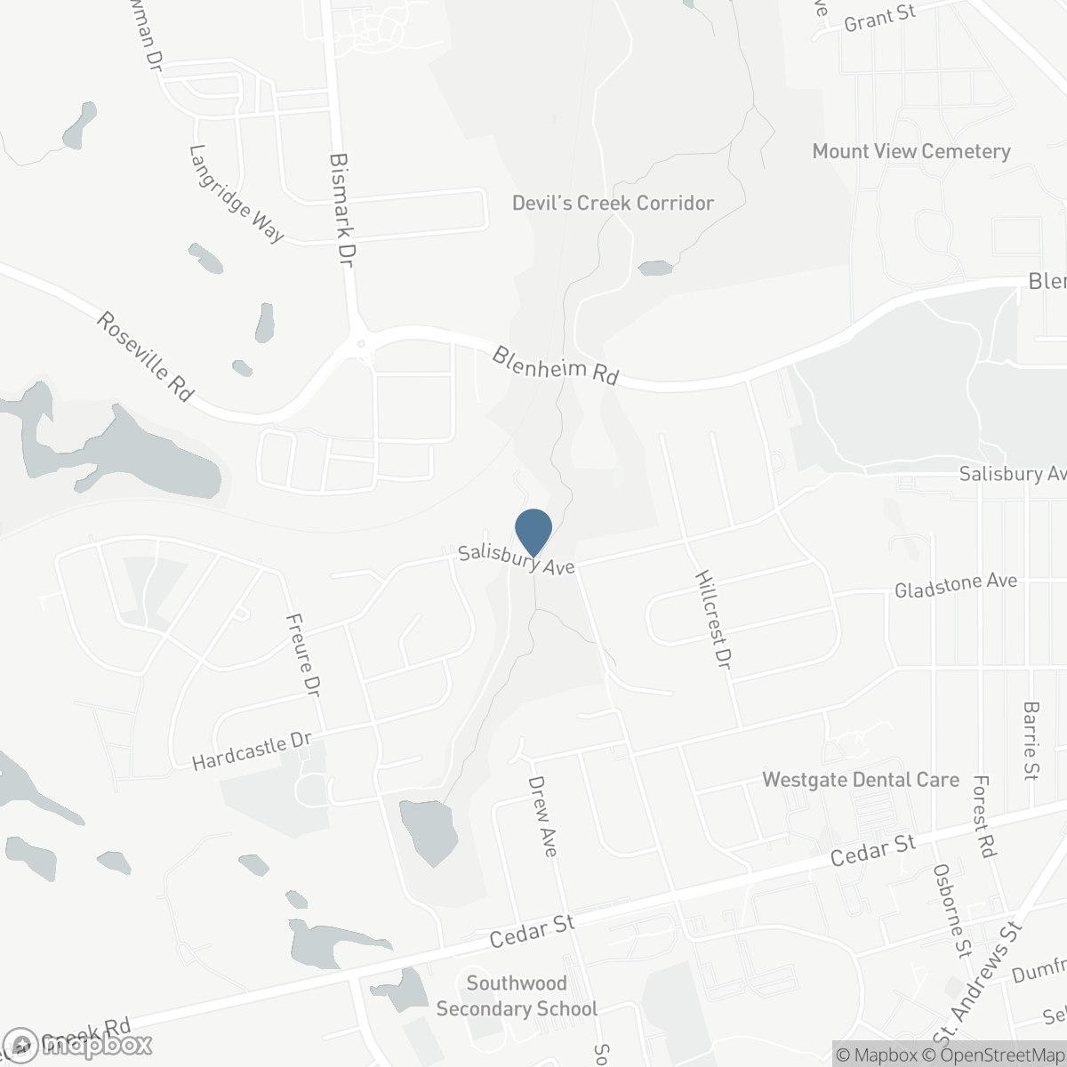 13 - 220 SALISBURY AVENUE, Cambridge, Ontario N1S 1K5